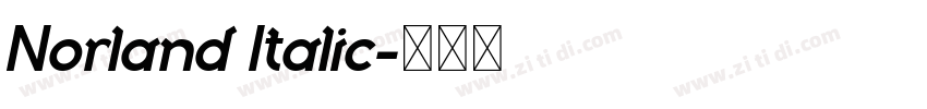Norland Italic字体转换